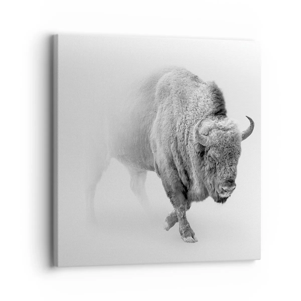 Canvas picture - King of the Prairie - 30x30 cm