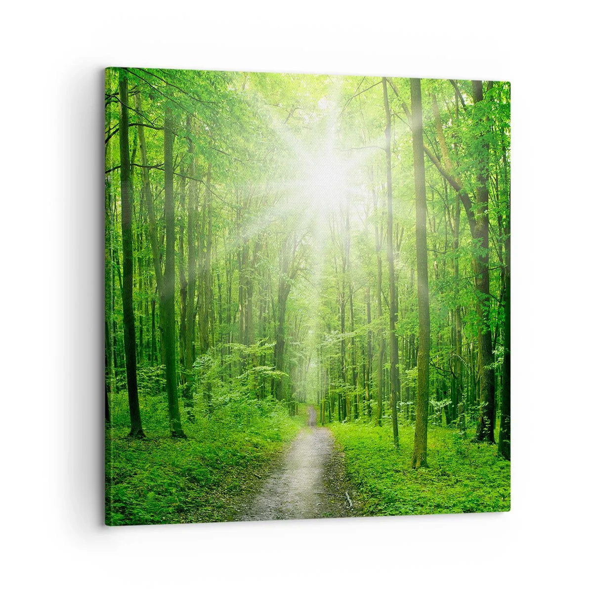 Canvas picture - Green Cathedral - 60x60 cm