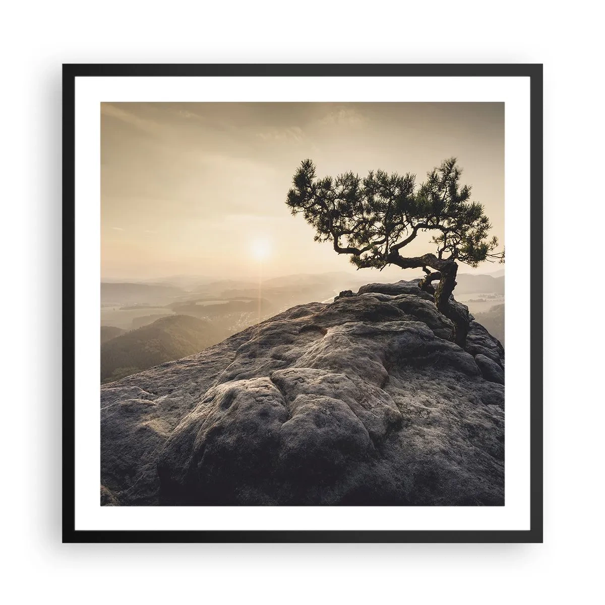 Poster in black frame - Life Always Wins - 60x60 cm