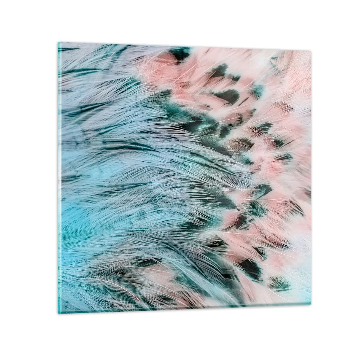 Glass picture - Sapphire and Pink Feathers - 30x30 cm
