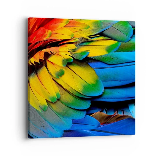 Canvas picture - Bird Of Paradise - 40x40 cm