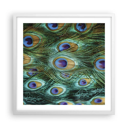Poster in white frmae - Peacock Eyes - 50x50 cm