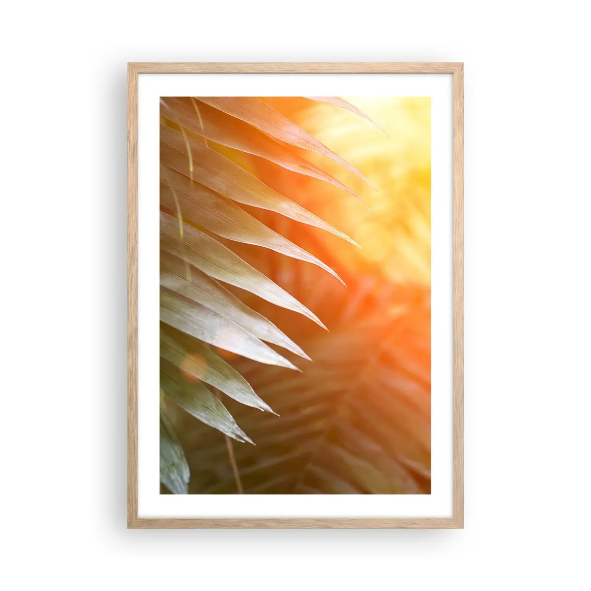 Poster in light oak frame - Morning in the Jungle - 50x70 cm