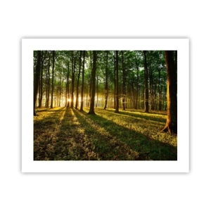 Poster - Photography of All Springs - 50x40 cm