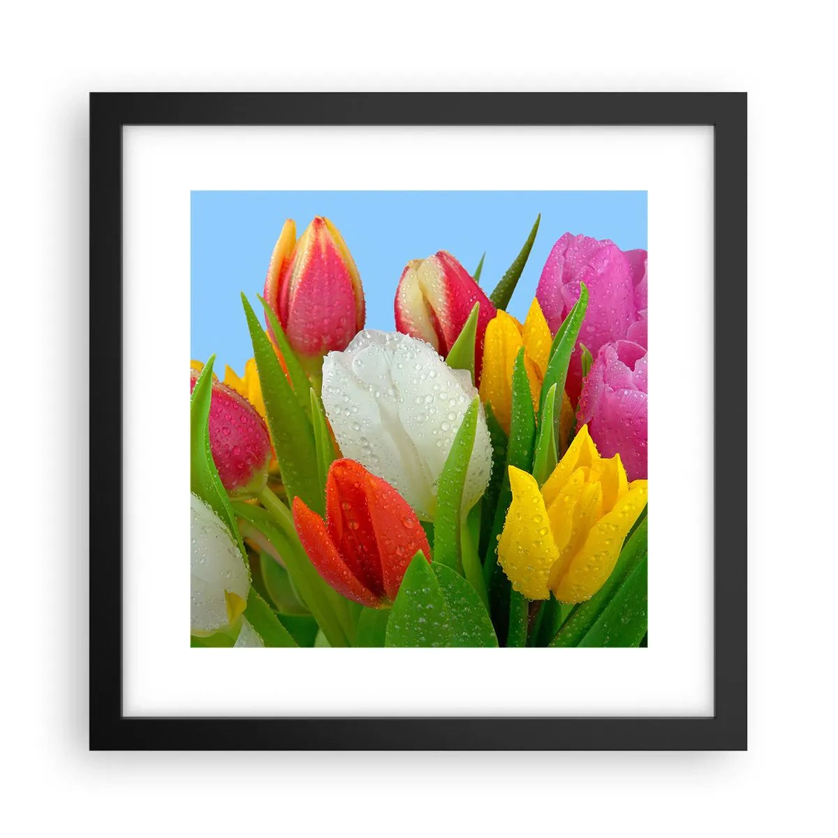 Poster in black frame - Floral Rainbow in Dew Drops - 30x30 cm