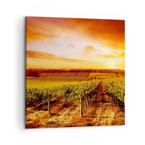 Canvas picture - Delicatly Fruity with a Note of the Sun - 50x50 cm