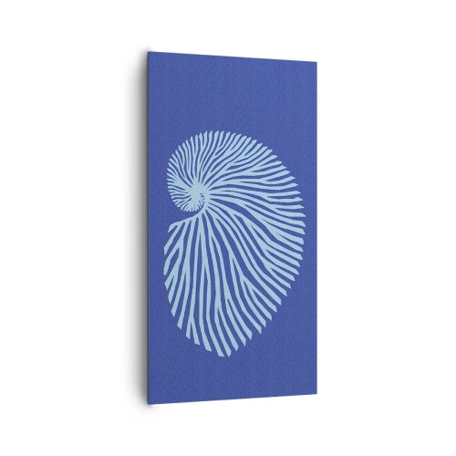 Canvas picture - Birth of a Shell - 65x120 cm