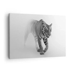 Canvas picture - A tiger emerging from the fog - 70x50cm - Crouching in Fog - Modern wall decoration for the living room and bedroom ARTTOR