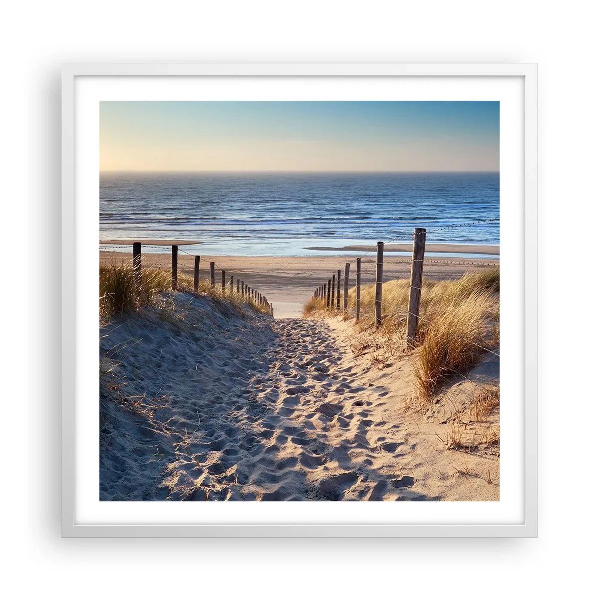 Poster in white frmae - Sound of the Sea, Singing of the Birds, Wild Beach among Grass - 60x60 cm