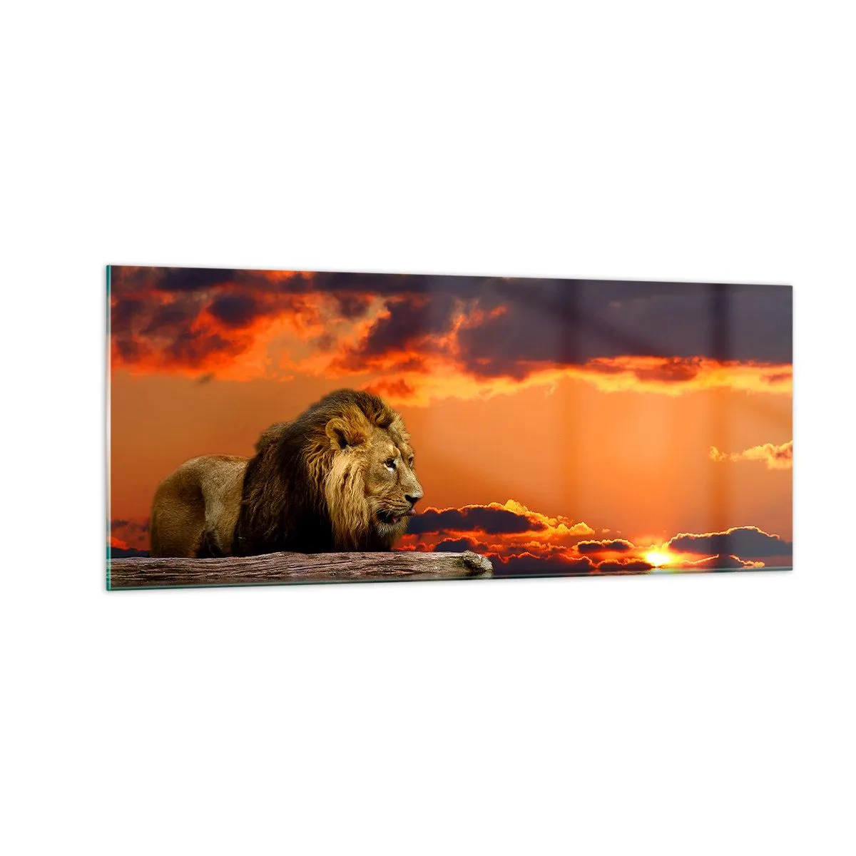 Glass picture - The King of Nature - 100x40 cm