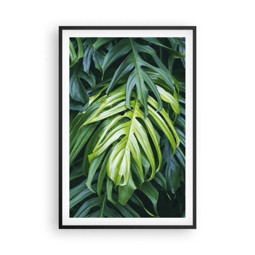 Poster in black frame - Immerse Yourself in Freshness - 61x91 cm