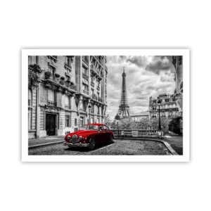 Poster - Predator in the City - 91x61 cm