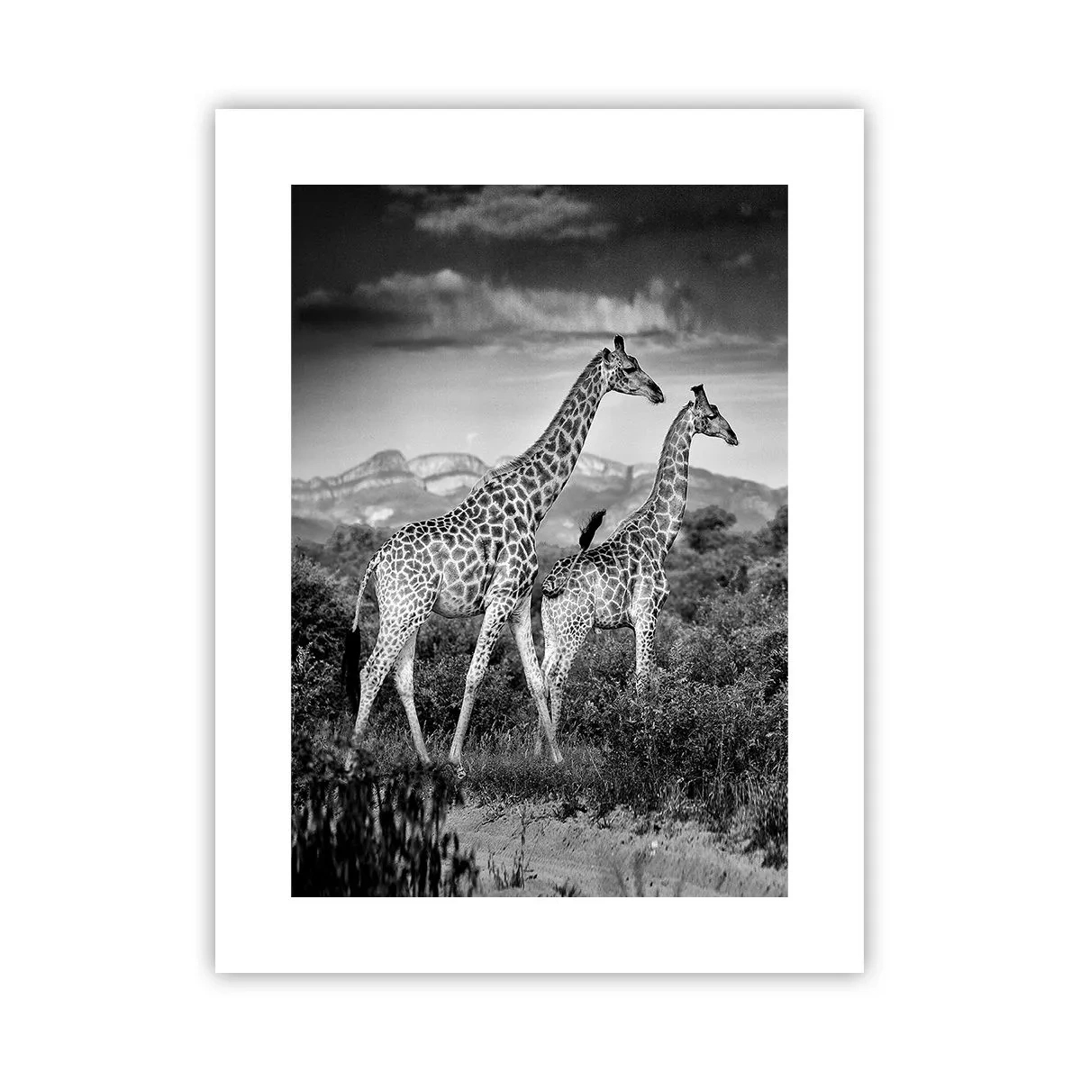 Poster - Higher Spheres in Africa - 30x40 cm