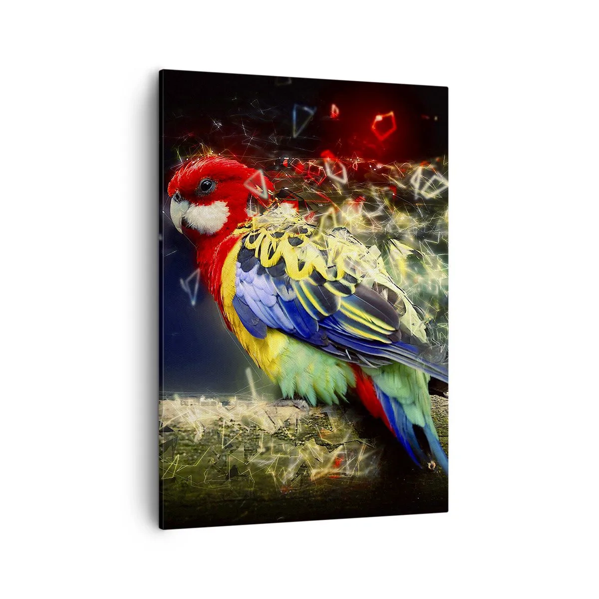 Canvas picture - Messenger of Light - 50x70 cm