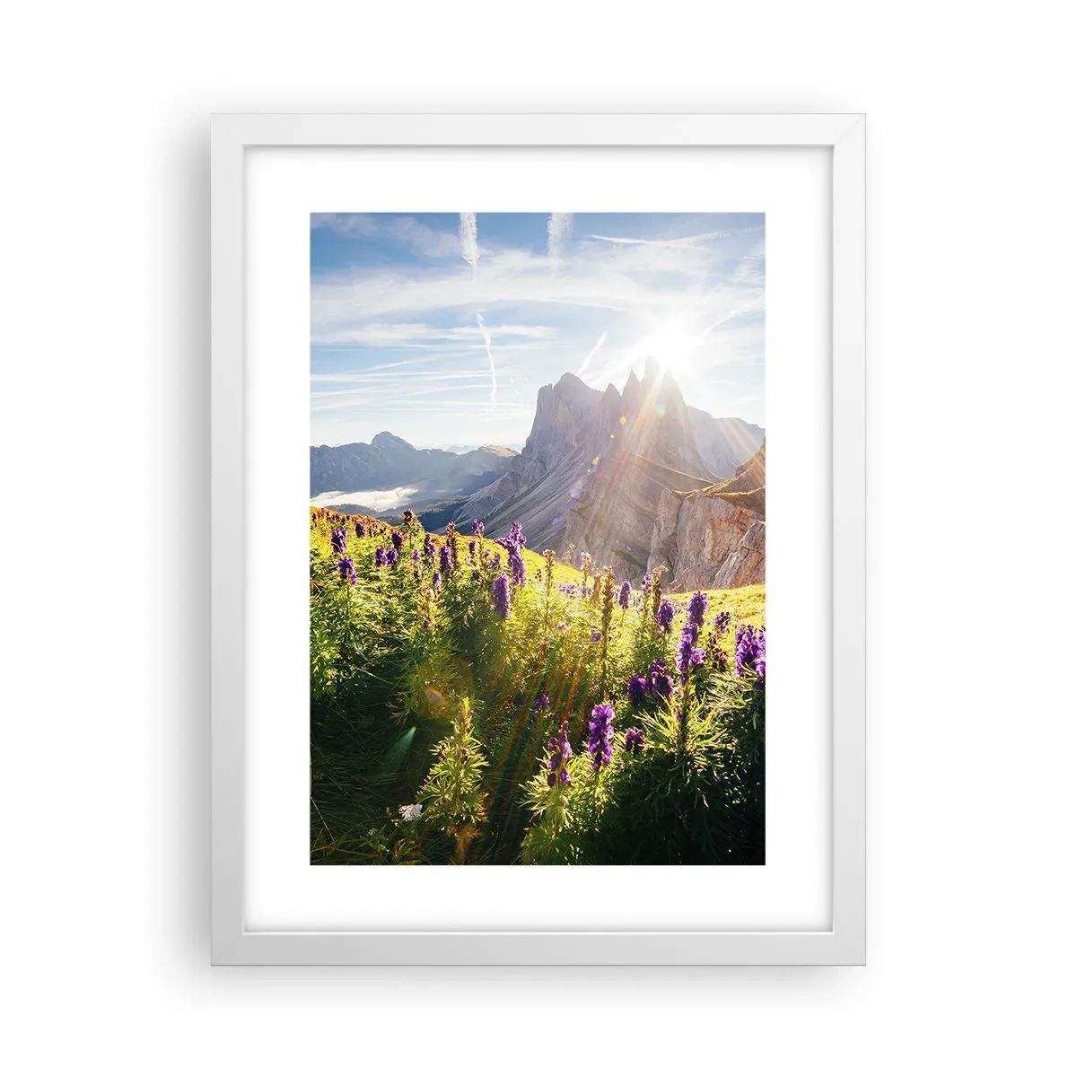 Poster in white frmae - Secret Life of Herbs - 30x40 cm