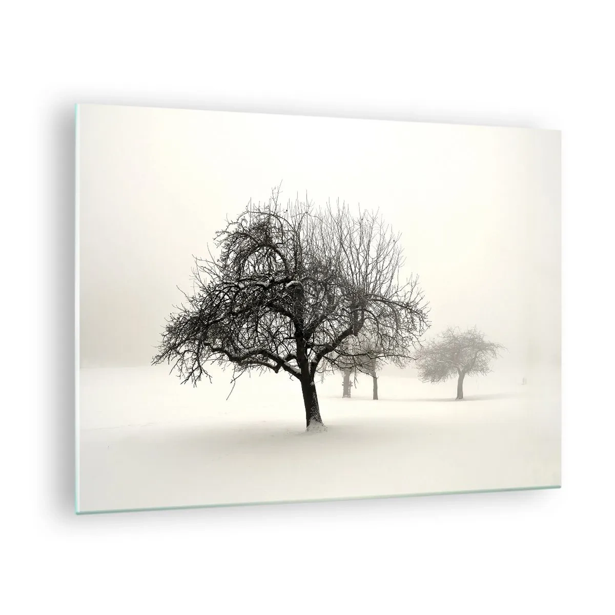 Glass picture - Trees in a winter landscape covered in snow and fog - 70x50cm - Winter Dream - Modern wall decoration for the living room and bedroom ARTTOR