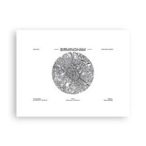 Poster - Anatomy of Birmingham - 40x30 cm