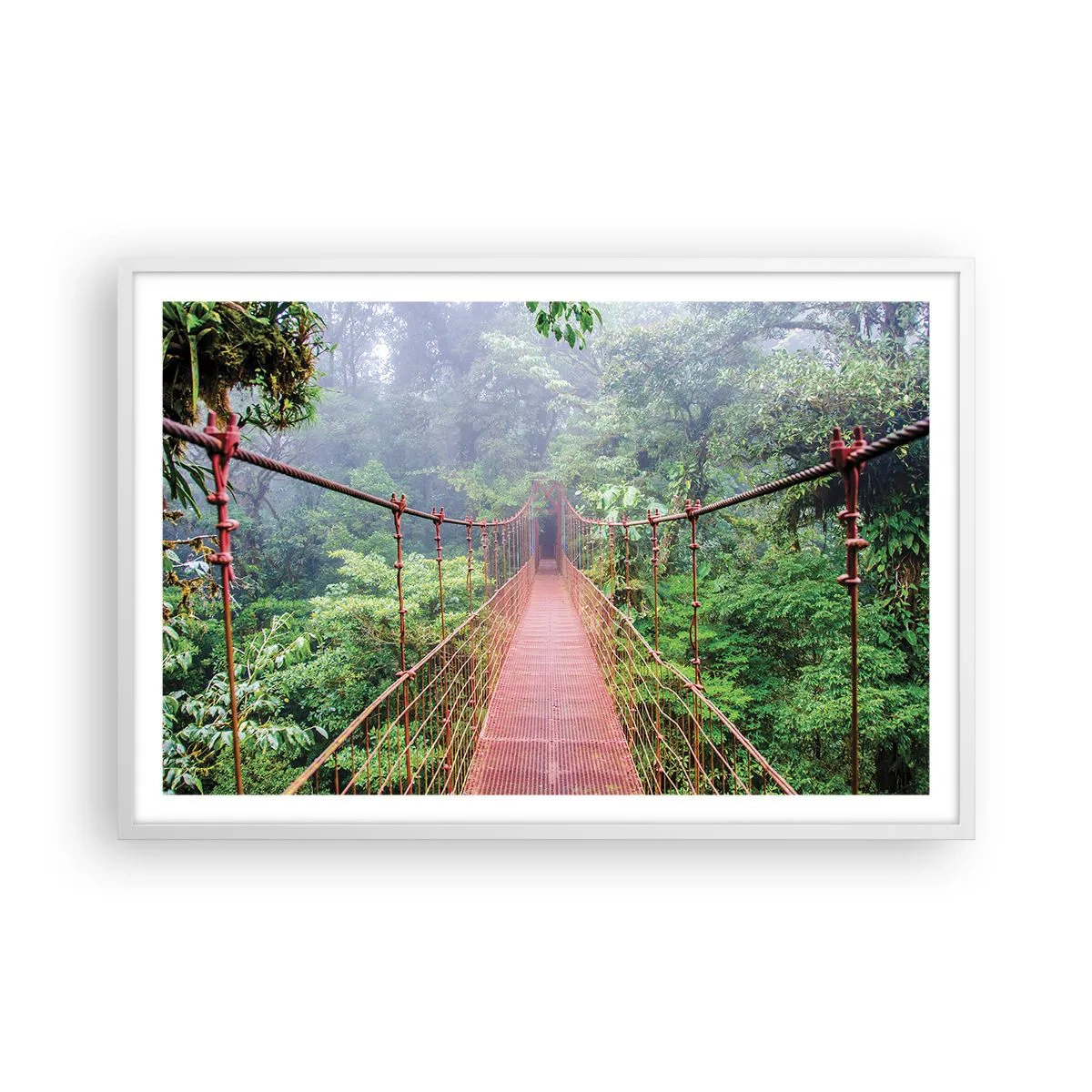 Poster in white frmae - Suspended above Crowns - 91x61 cm