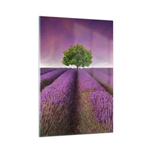 Glass picture - In the Fields of Lavender - 80x120 cm