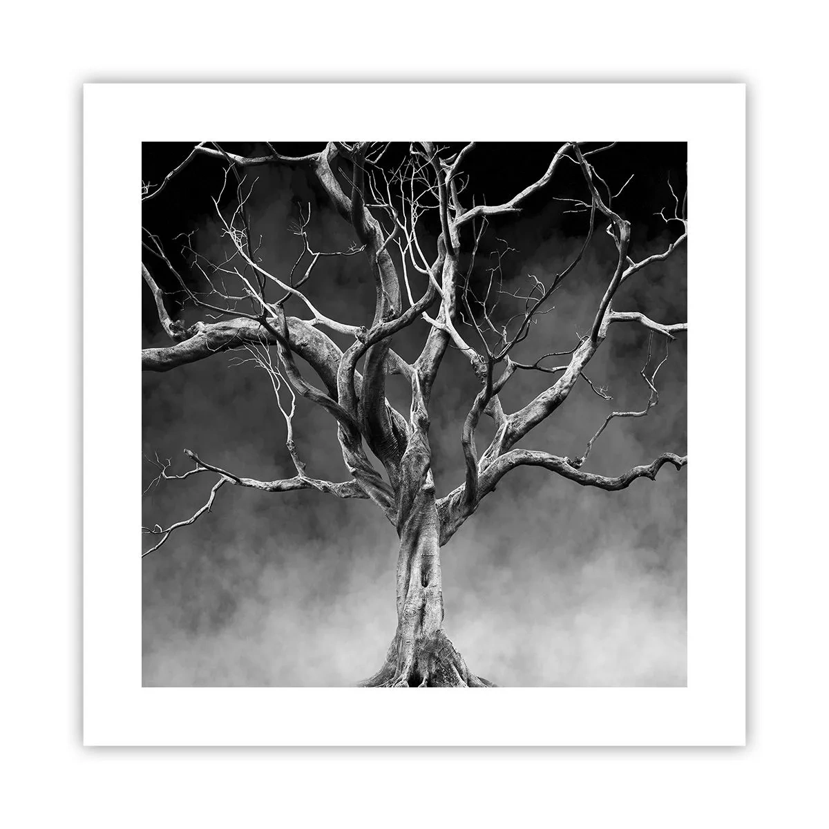 Poster - Primordial and Sacred - 40x40 cm