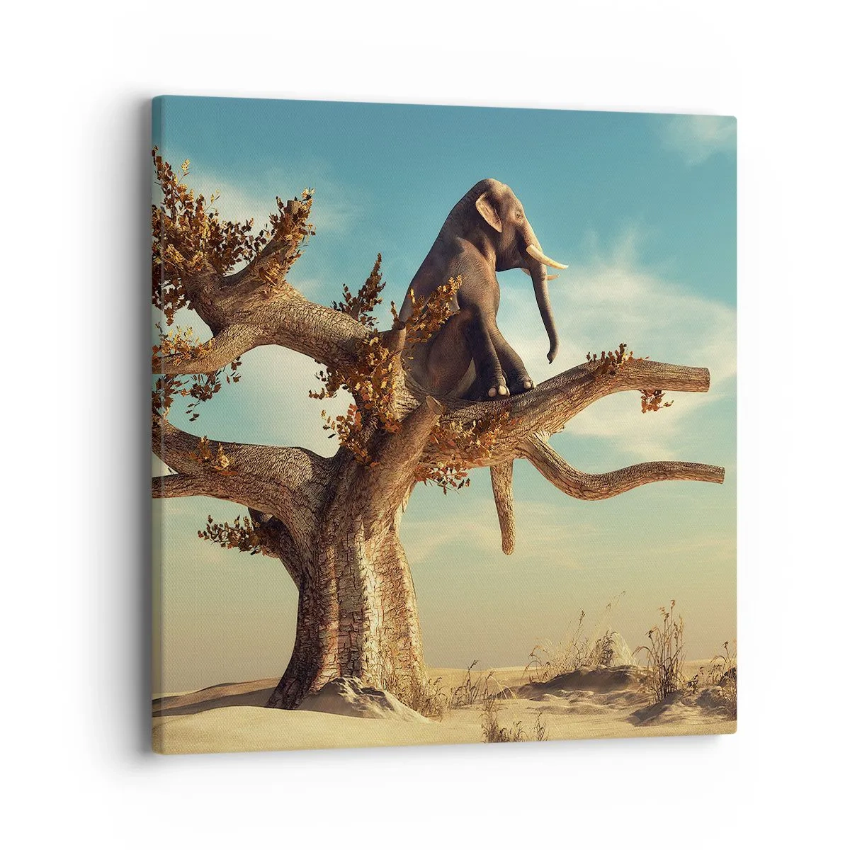 Canvas picture - New Point of View - 40x40 cm