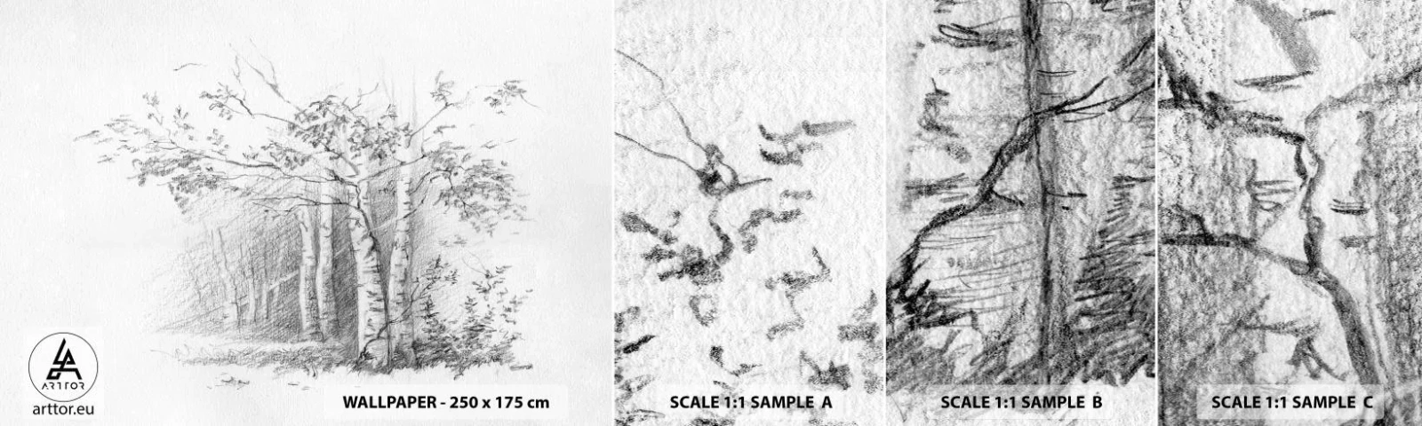 Photo Wallpaper Sample Self-Adhesive Deluxe Sticker - Holiday of Birch Forest - Forest, Birch, Trees - 100x30 cm