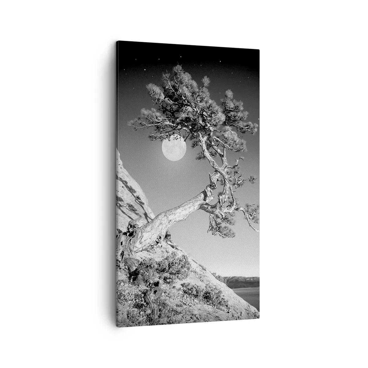 Canvas picture - Winning Warrior - 45x80 cm