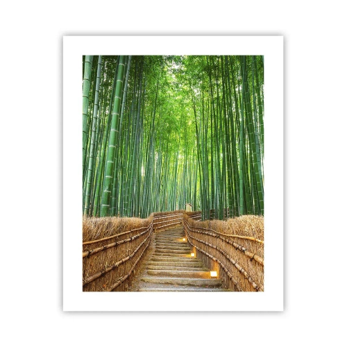 Poster - Essence of Asian Nature - 40x50 cm