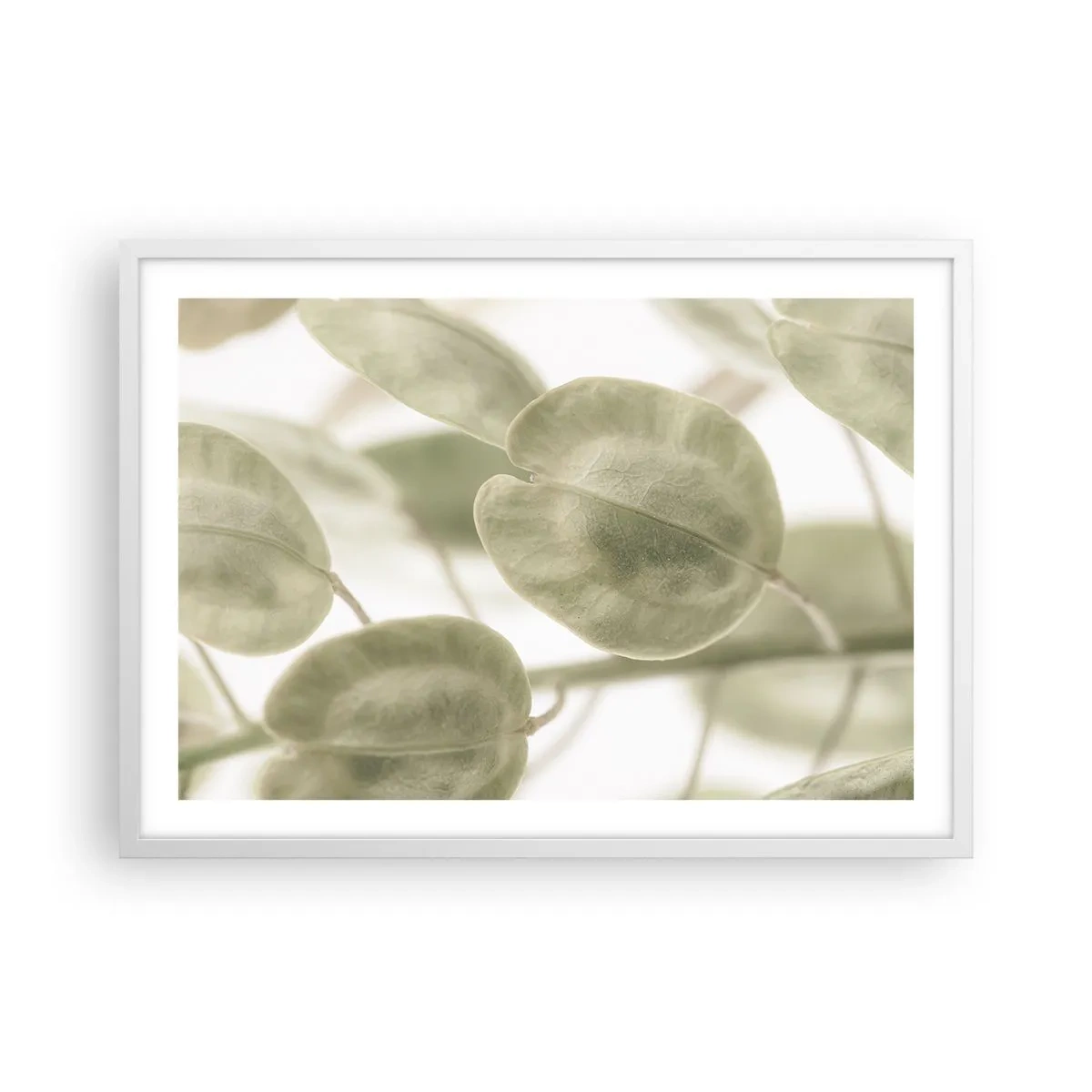 Poster in white frmae - In the Beginning There Were Leaves… - 70x50 cm