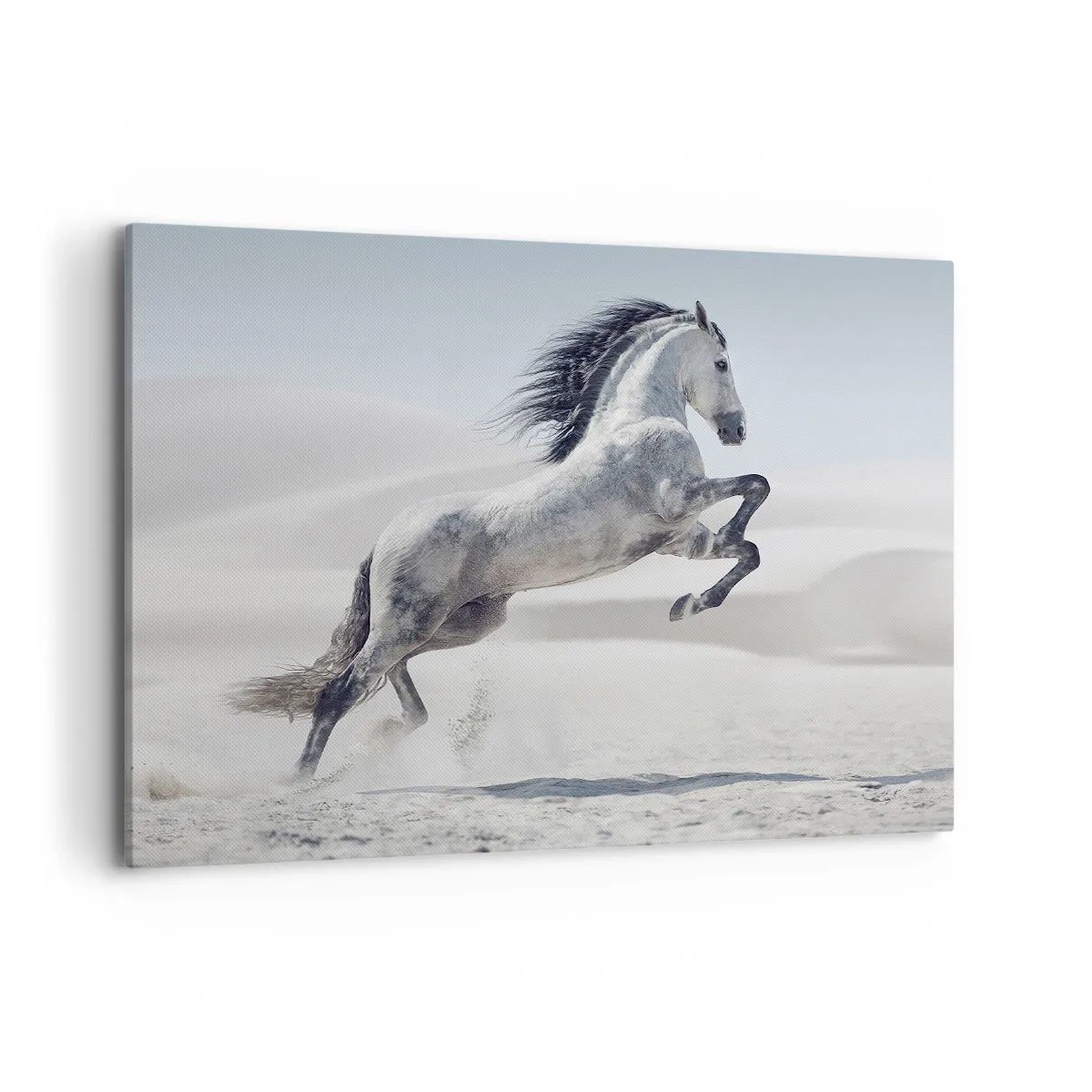 Canvas picture - Arabic Prince - 100x70 cm