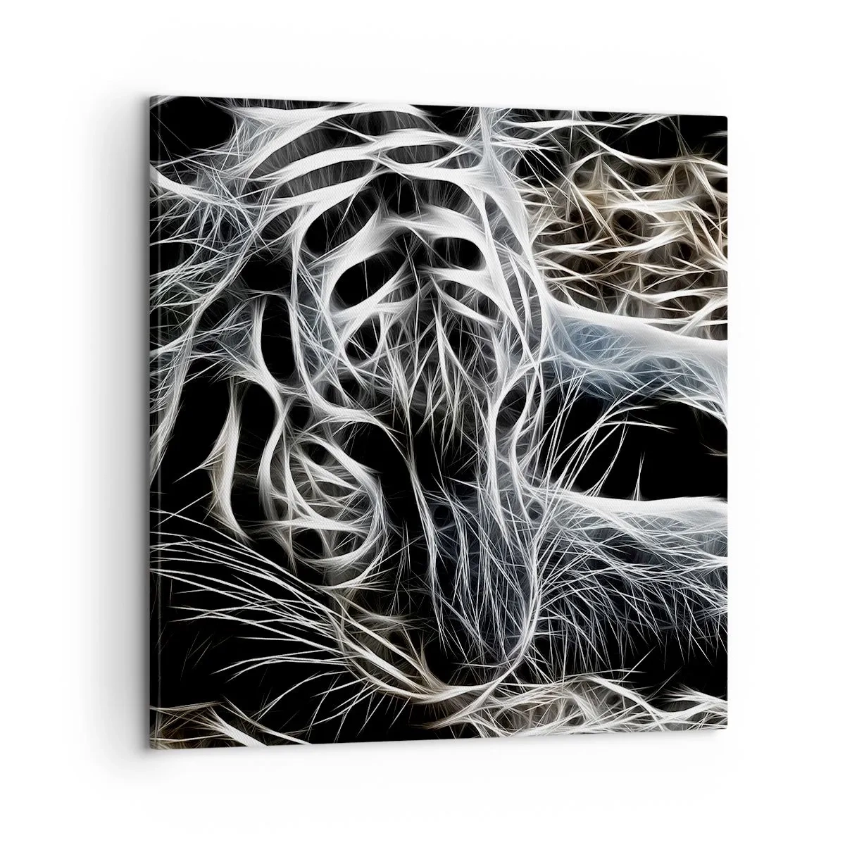 Canvas picture - Study in Lightness of Cats - 60x60 cm