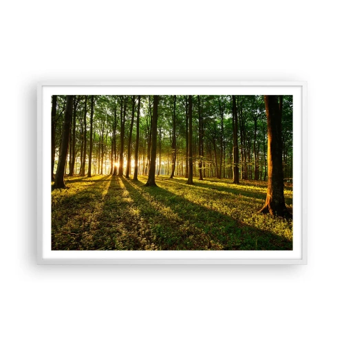 Poster in white frmae - Photography of All Springs - 91x61 cm