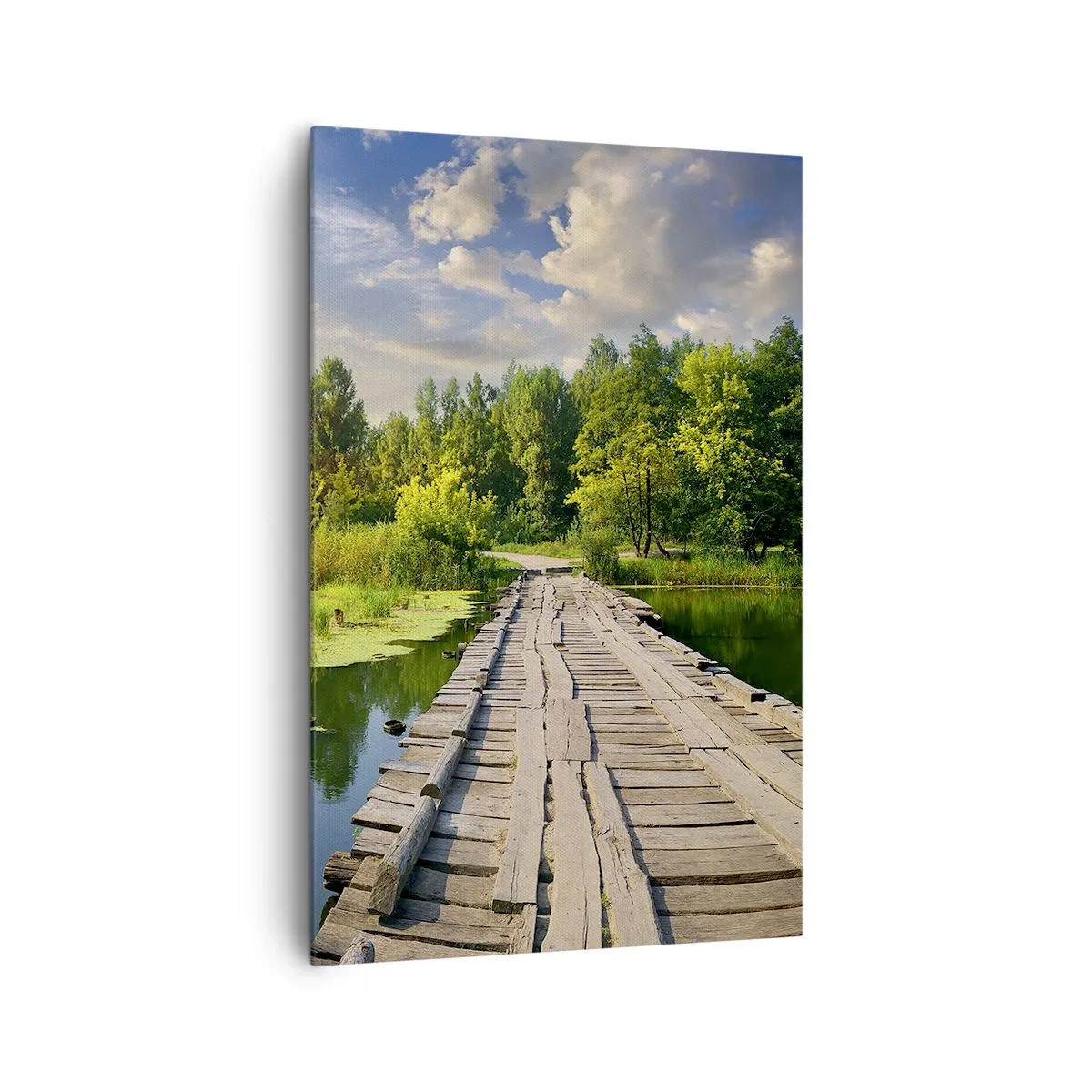 Canvas picture - Summer Everywhere - 80x120 cm