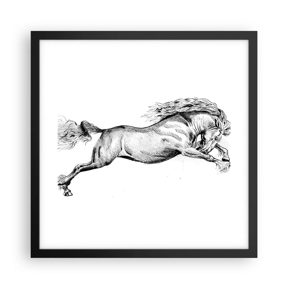 Poster in black frame - Stopped at a Gallop - 40x40 cm