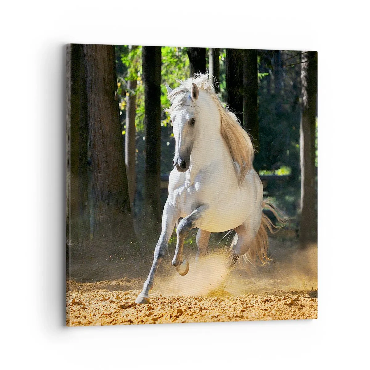 Canvas picture - Straight from a Fantasy Book - 70x70 cm