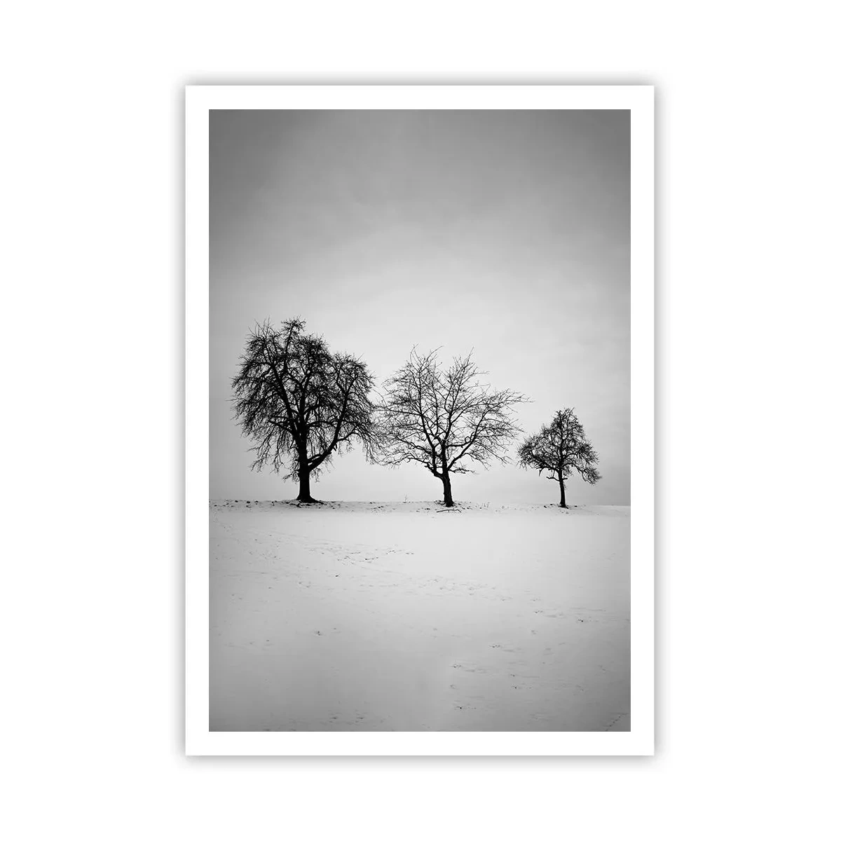 Poster - What Are They Dreaming About? - 70x100 cm