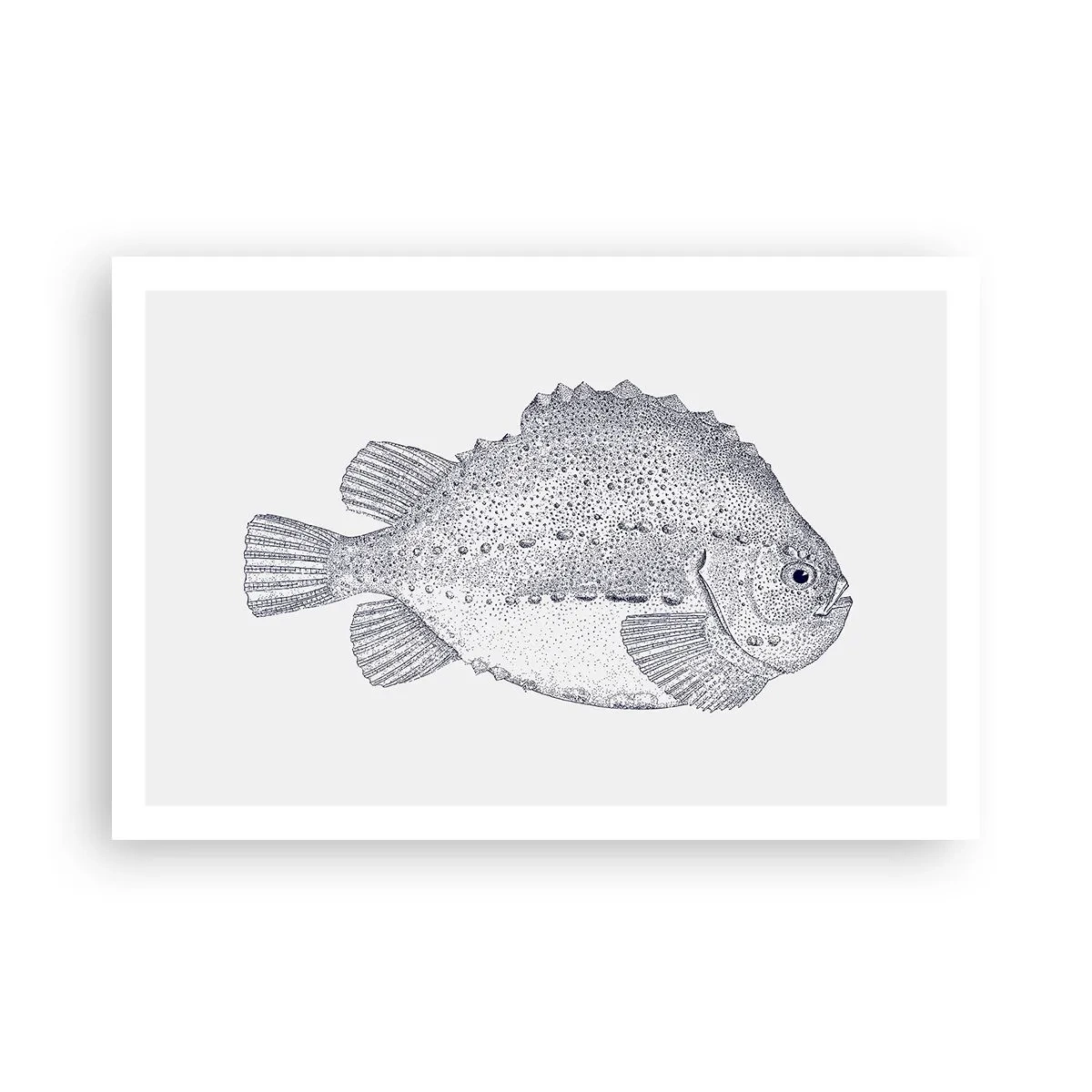 Poster - For Natural Scientist's Album - 91x61 cm