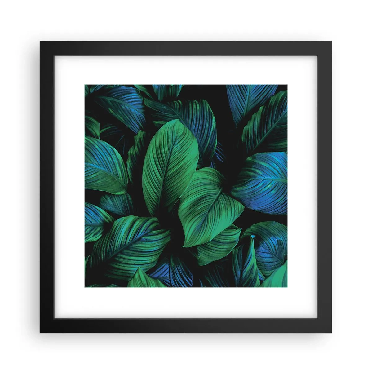 Poster in black frame - In a Green Crowd - 30x30 cm
