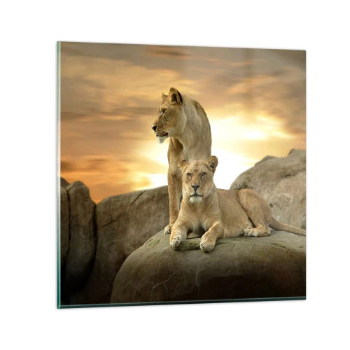 Glass picture - Royal Majesty - 60x60 cm