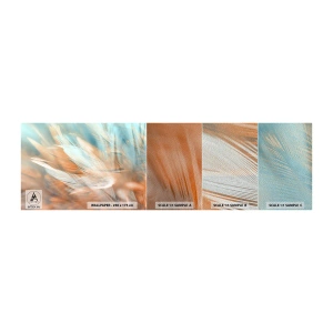 Photo Wallpaper Sample Premium Sand - In the Land of Gentleness - Delicate, Feathers, Minimalism - 100x30 cm