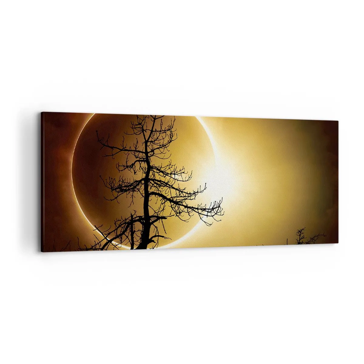 Canvas picture - Total Eclipse - 120x50 cm