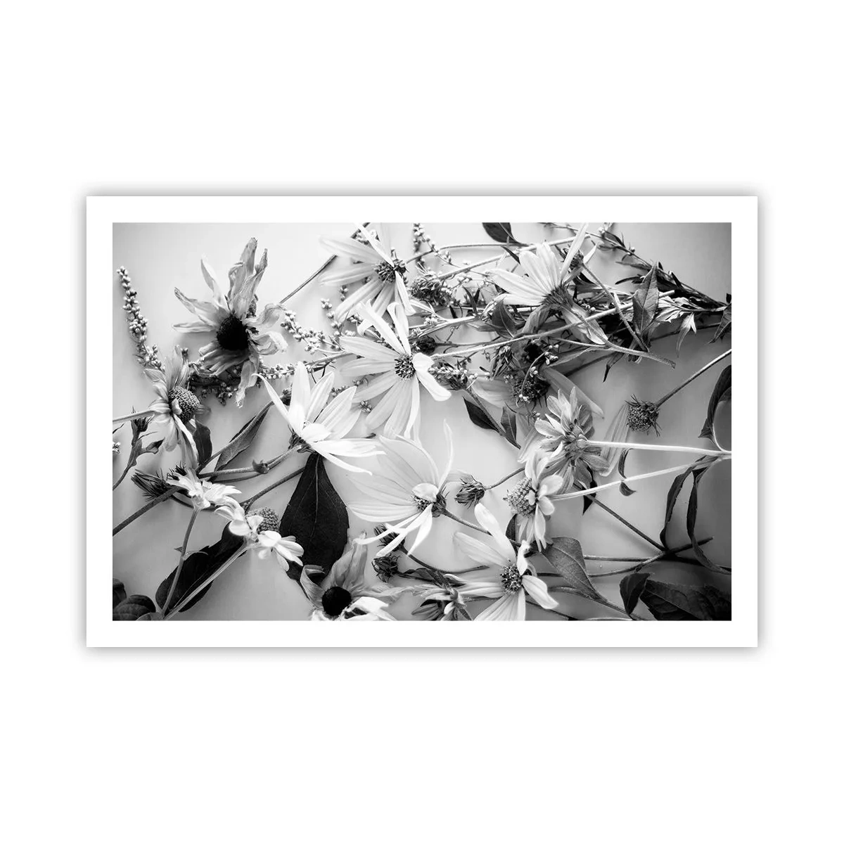 Poster - No-Bouquet of Flowers - 91x61 cm