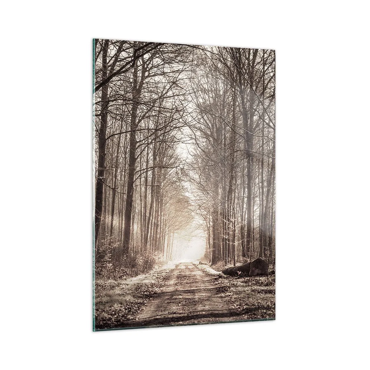 Glass picture - Cathedral of the Forest - 50x70 cm