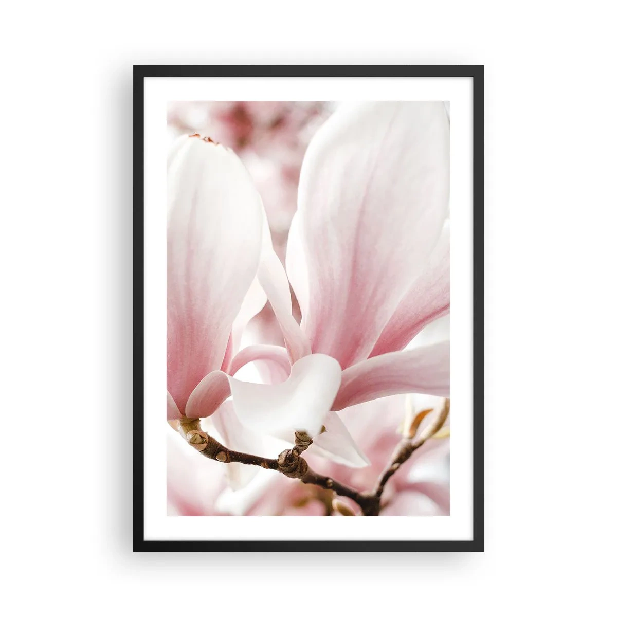 Poster in black frame - Delicate pink magnolia petals on a blurred background - 50x70cm - Immensity of Tenderness - Modern wall decoration for the living room and bedroom ARTTOR