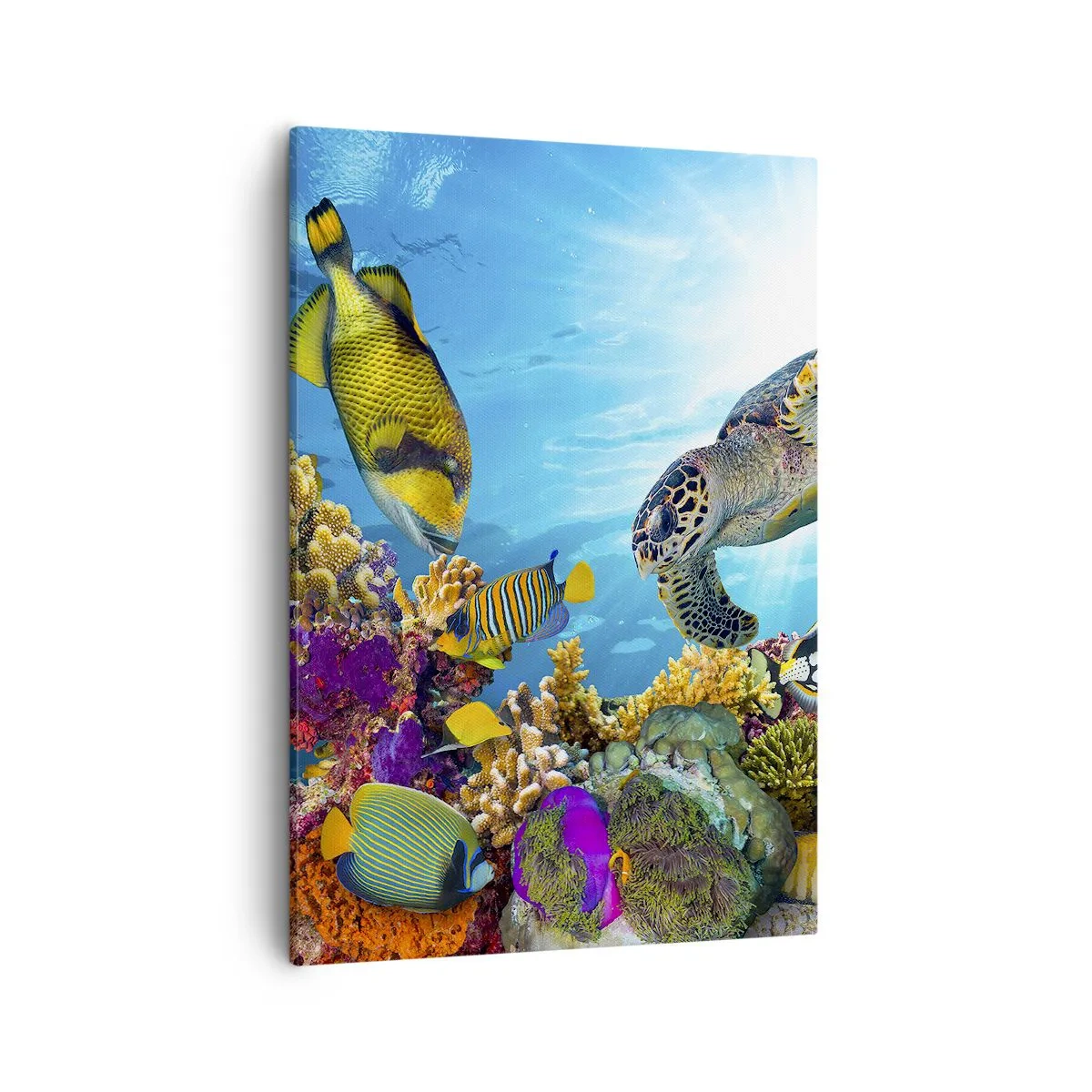 Canvas picture - Coral Promenade - 50x70 cm