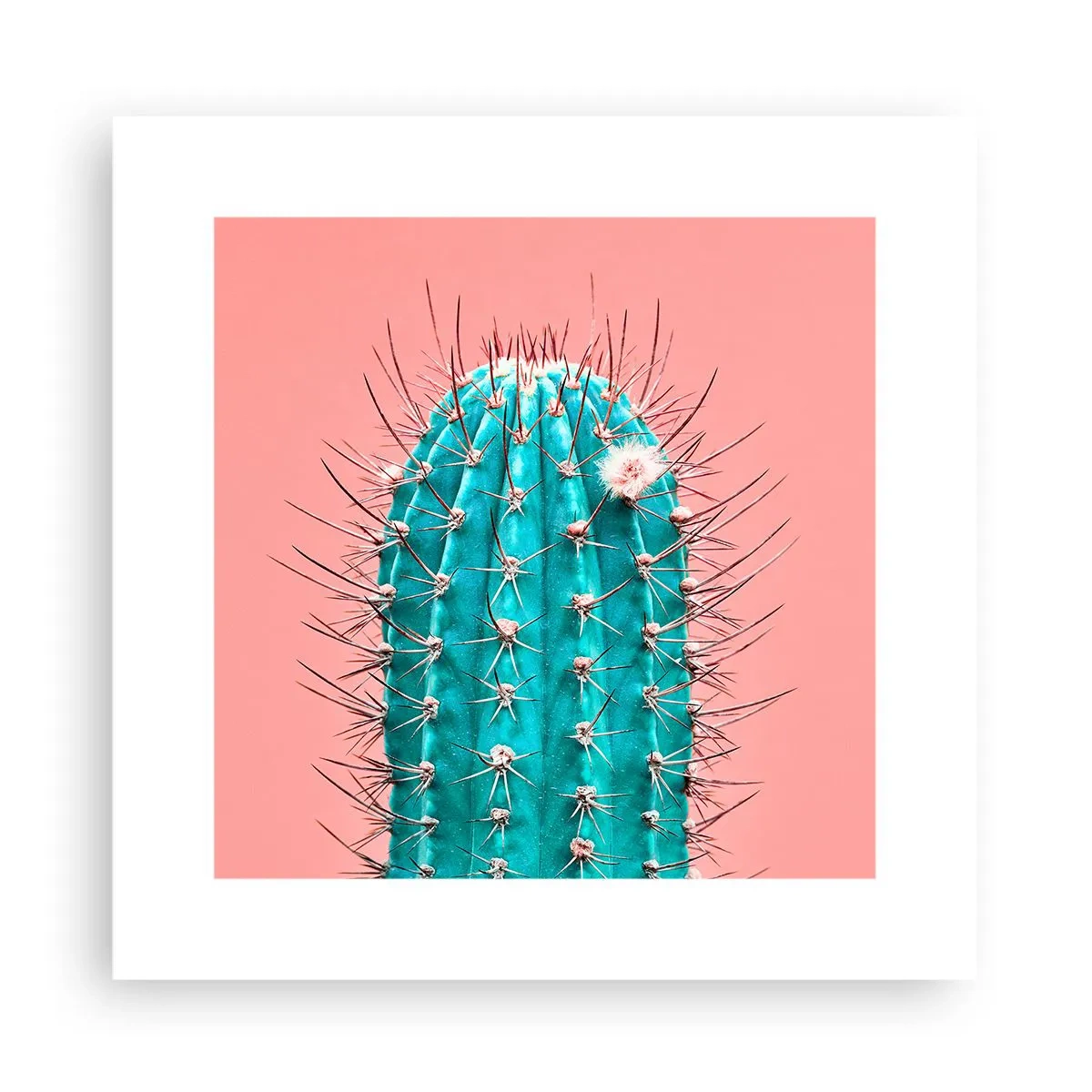 Poster - Just Look - 30x30 cm