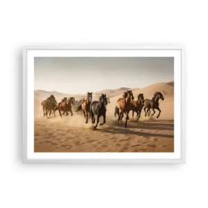 Poster in white frmae - Free as a Wind - 70x50 cm