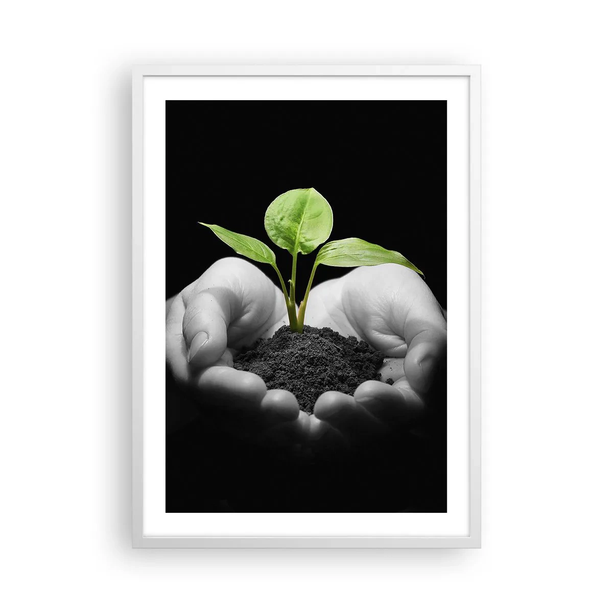 Poster in white frmae - I Love Nature, I Protect It - 50x70 cm