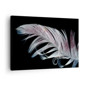 Canvas picture - A delicate feather on a black background in an artistic approach - 70x50cm - Think about Touch - Modern wall decoration for the living room and bedroom ARTTOR