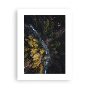 Poster - Fast and Faster - 30x40 cm